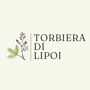 Torbiera di Lipoi