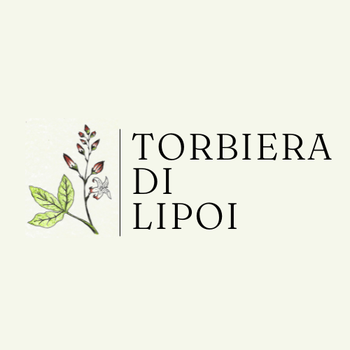 Torbiera di Lipoi