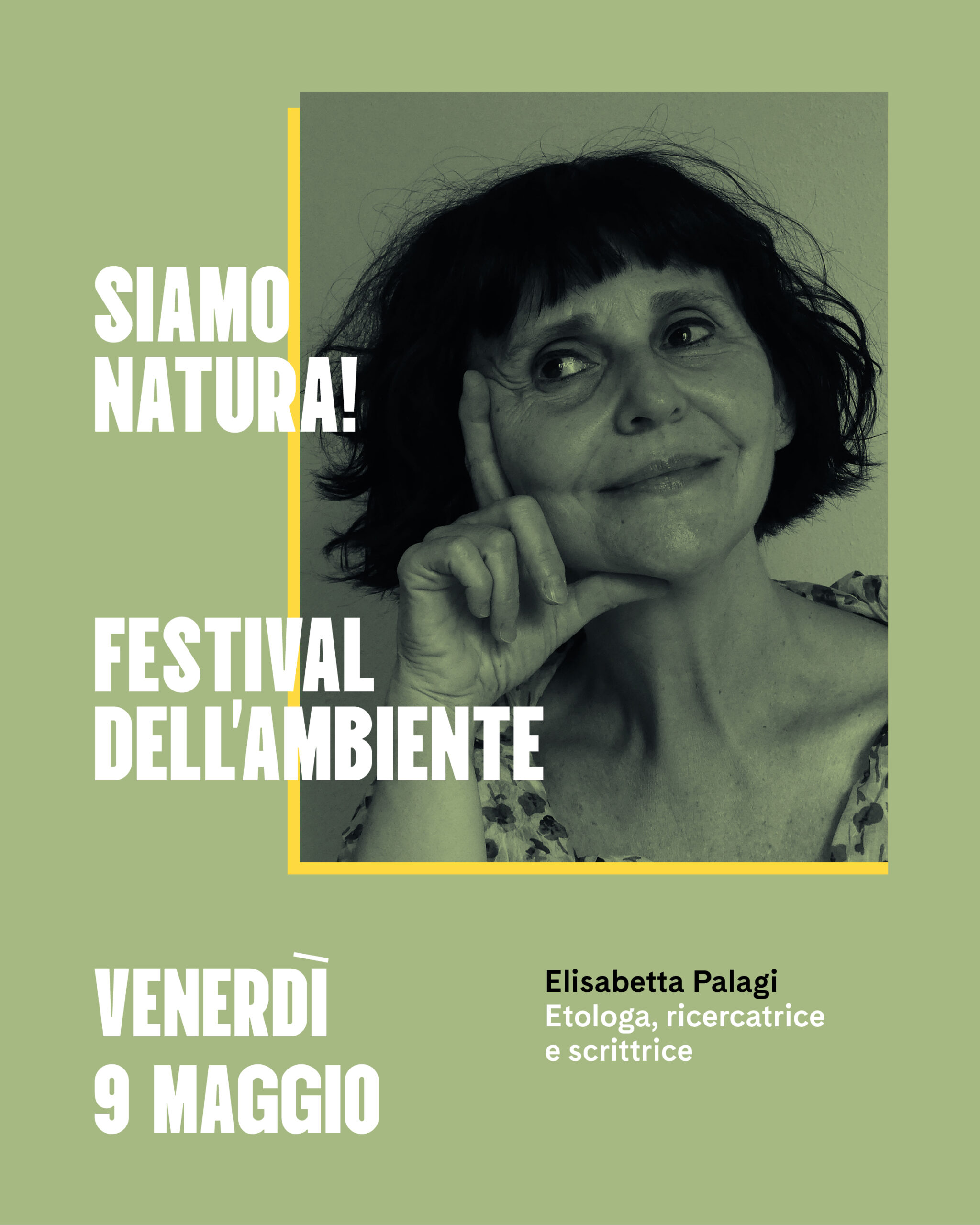 Immagine anteprima