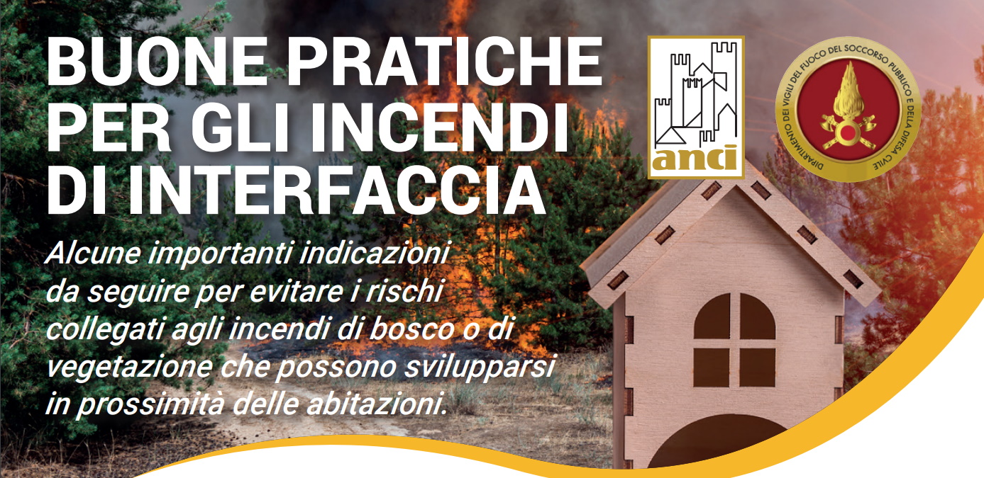 Immagine anteprima