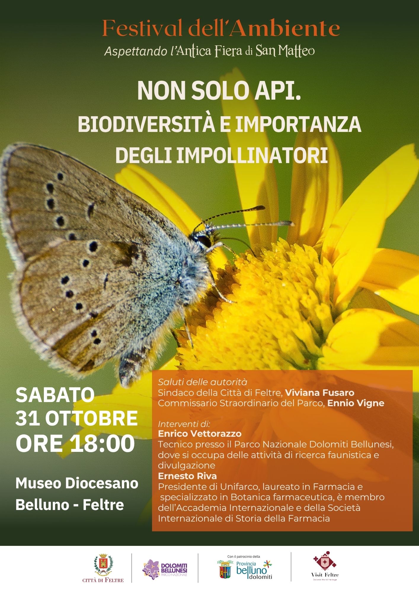 Locandina Festival Ambiente - Evento del 31/10/2026 - Non Solo Api